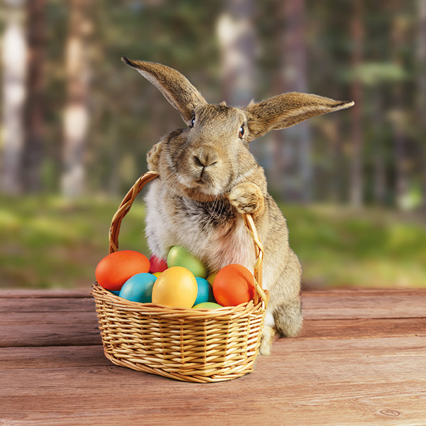 winter urlaub eder michaela freunde Osterpauschale